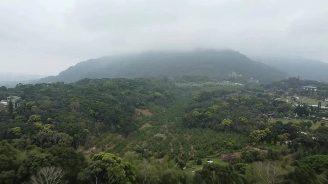 山林與雲霧的空拍動態示意影片封面