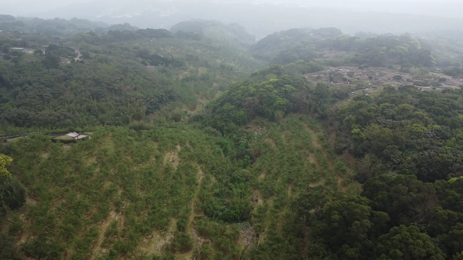 觀音山基地既有空拍：前景坡地與林冠、右上方既有墓區，遠景山林延伸至霧中