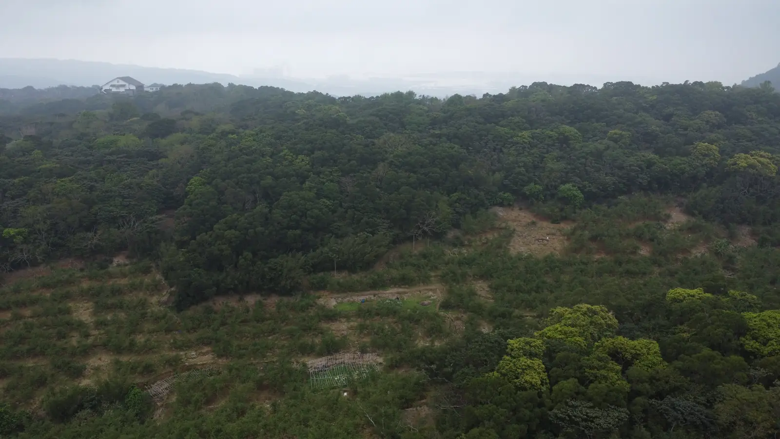 觀音山自有空拍，呈現林冠、坡地、前側棚架與遠方建物的拍攝時現況